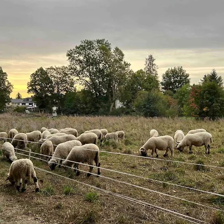 Overnight In A Shepherd's Wagon Tiny House Múnich